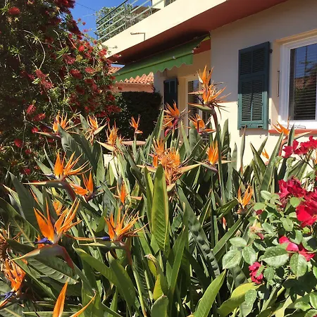 Apartment Le Printemps